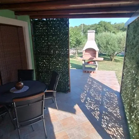 Forest Queen Apartament *