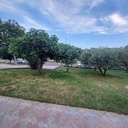 Apartamento Forest Queen *