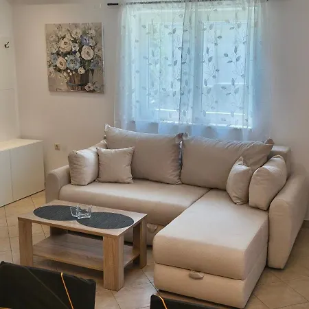 Forest Queen Apartament *